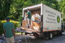 Best Hoarding Cleanup  in Carnesville, GA